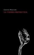 Cover: La tierra prometida - Editorial Milrazones