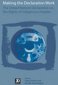 Enlarge image Cover: Making the Declaration Work - IWGIA