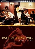 Cover: Days Of Being Wild - Alive