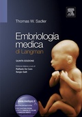Bild: Embriologia Medica di Langman - Elsevier