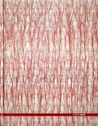 Enlarge image Cover: Ghada Amer - Mondadori Electa