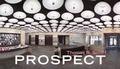 Cover: Prospect - Damiani