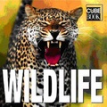Cover: Wildlife - White Star