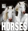 Cover: Mini Cubebook Horses - White Star