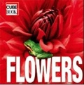 Cover: Flowers: Cubebook - White Star