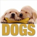 Cover: Dogs - White Star