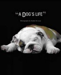Cover: Dog's Life - White Star