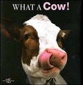 Cover: What a Cow! - White Star