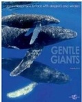Cover: Gentle Giants: an Emotional Face to Face With Dolphins and Whales - White Star