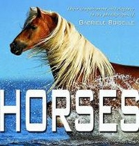 Abbildung von: Horses - White Star