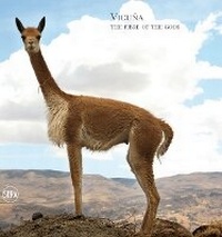Abbildung von: Vicuna - Skira
