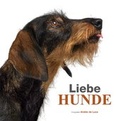 Cover: Liebe Hunde - Edizioni White Star SrL