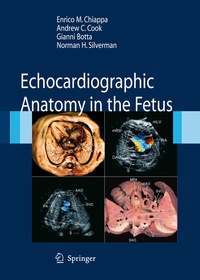 Abbildung von: Echocardiographic Anatomy in the Fetus - Springer