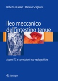 Cover: Ileo meccanico dell'intestino tenue - Springer