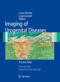 Enlarge image Cover: Imaging of Urogenital Diseases - Springer