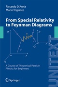 Cover: From Special Relativity to Feynman Diagrams - Springer