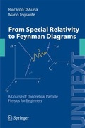 Cover: From Special Relativity to Feynman Diagrams - Springer