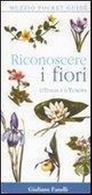 Abbildung von: Riconoscere i fiori d'Italia e d'Europa - Muzzio pocket guide;Franco Muzzio Editore