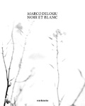 Cover: Noir et Blanc - Contrasto