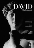 Cover: David: Michelangelo - Arkivia Books