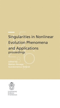 Abbildung von: Singularities in nonlinear evolution phenomena and applications - Scuola Normale Superiore