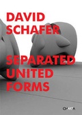 Cover: David Schafer: Separated United Forms - Edizioni Charta Srl