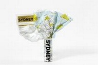 Abbildung von: Sydney Crumpled City Map - Palomar
