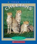 Cover: Cheetahs - Children's Press(CT)