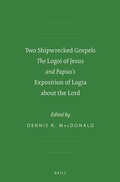 Cover: Two Shipwrecked Gospels - Brill