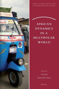 Enlarge image Cover: African Dynamics in a Multipolar World - Brill