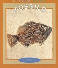 Enlarge image Cover: Fossils - Children's Press(CT)