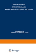 Cover: Zweistromland - Springer