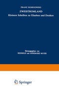 Cover: Zweistromland - Springer