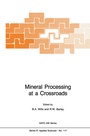 Cover: Mineral Processing at a Crossroads - Springer