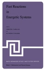 Cover: Fast Reactions in Energetic Systems - Springer