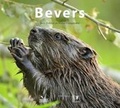 Cover: Bevers - KNNV Uitgeverij