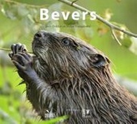Enlarge image Cover: Bevers - KNNV Uitgeverij