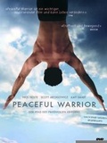 Cover: Peaceful Warrior - Horizon
