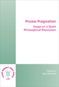 Cover: Process Pragmatism - Rodopi
