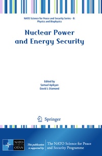 Enlarge image Cover: Nuclear Power and Energy Security - Springer
