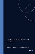 Cover: Idealization X: The Richness of Idealization - Rodopi