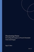 Cover: Disorienting Vision - Rodopi