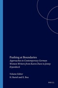 Cover: Pushing at Boundaries - Rodopi