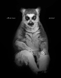 Cover: Elliot Ross - Schilt Publishing b.v.
