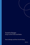 Cover: Tumult of Images - Rodopi