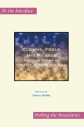 Cover: Clowns, Fools and Picaros - Rodopi