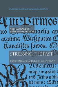 Enlarge image Cover: Stressing the past - Rodopi