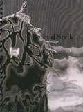 Cover: Berend Strik - Valiz