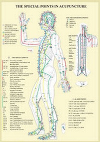 Abbildung von: Special Points in Acupunture -- A4 - Jan Van Baarle