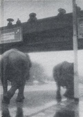 Cover: Susanne Kriemann - Witte de With Centre for Contemporary Art
